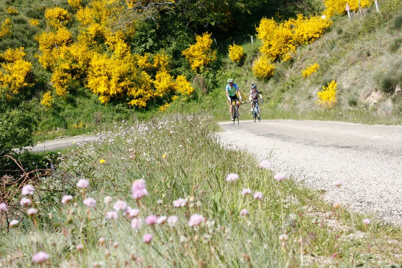 Vélo de route L'Ardéchoise : La Châtaigne · Saint-Félicien