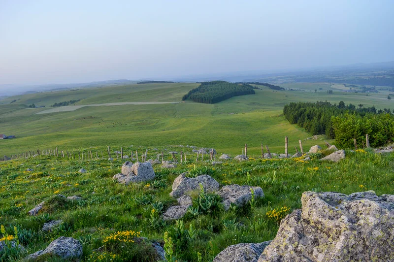 Vélo de route Cyclo. Les monts du Cézallier · Allanche