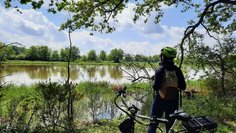 Vélo de route Itinérance L'Ain à Vélo - La Dombes aux mille étangs (1 jour) · Châtillon-sur-Chalaronne