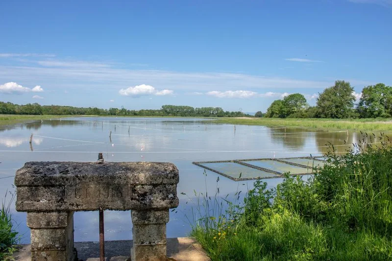 Vélo de route Itinérance L'Ain à Vélo - Entre Dombes et Val de Saône (1 à 2 jours) · Châtillon-sur-Chalaronne