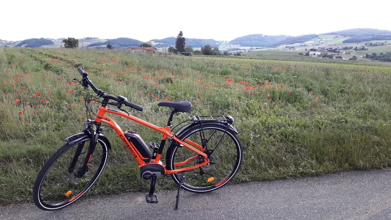 Vélo de route Monts du Lyonnais - Le circuit de l'Argentière - Boucle 2.4 · Sainte-Foy-l'Argentière