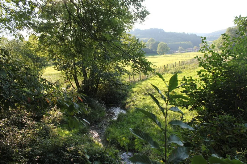 Vélo de route Le Beaujolais - Entre vignes et forêts - Boucle 5.3 · Beaujeu