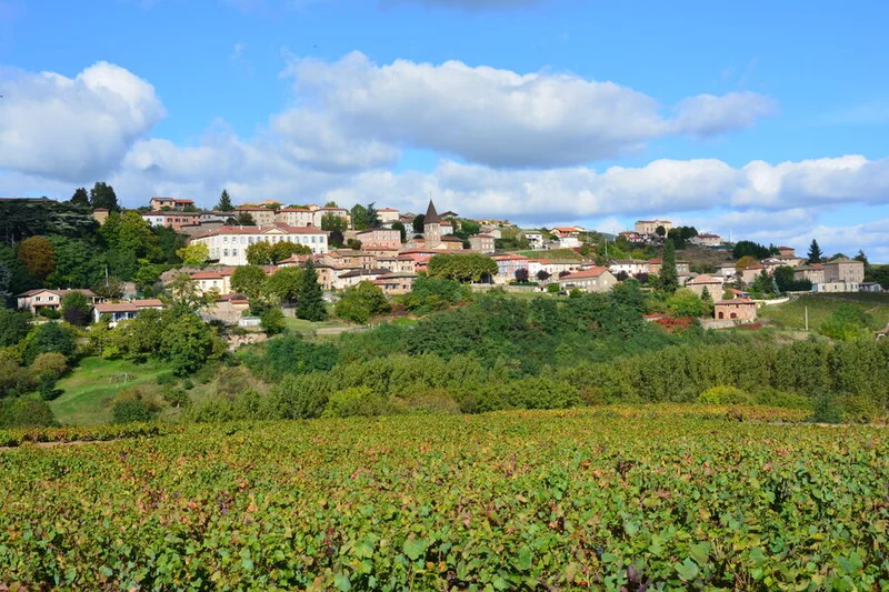 Vélo de route Le Beaujolais - Clochemerle - Boucle 5.6 · Le Perréon