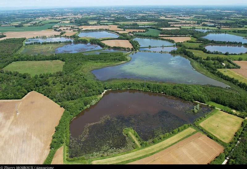 Vélo de route Itinérance L'Ain à Vélo - La Dombes, terre d'eau (4 jours) · Saint-Didier-sur-Chalaronne
