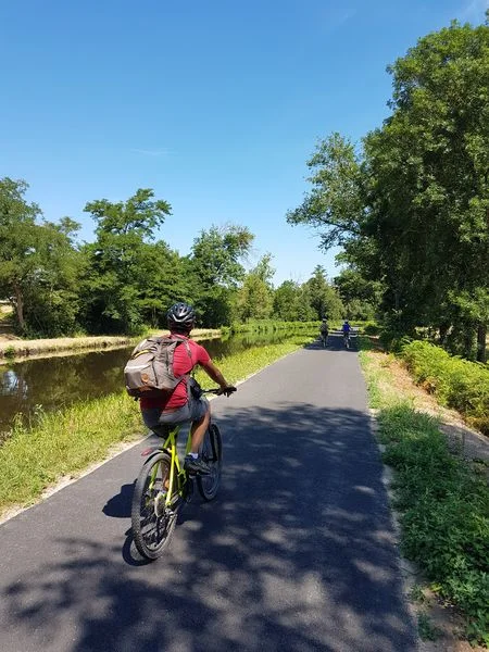 Vélo de route Boucle cyclable R6 : De l'eau à l'arbre · Briennon
