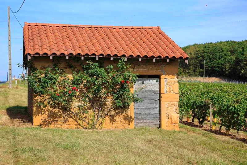 Vélo de route Les portes sud du Beaujolais · L'Arbresle