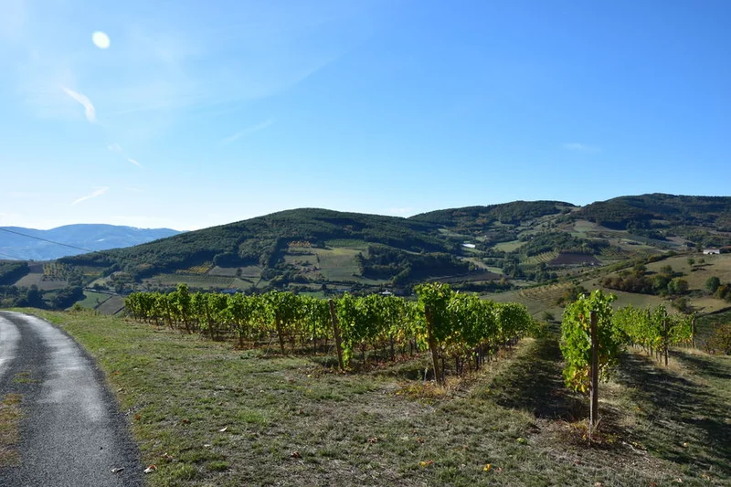 Vélo de route Le Panoramique · Sain-Bel