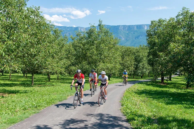Vélo de route Cyclo : La véloroute La Belle Via · Grenoble