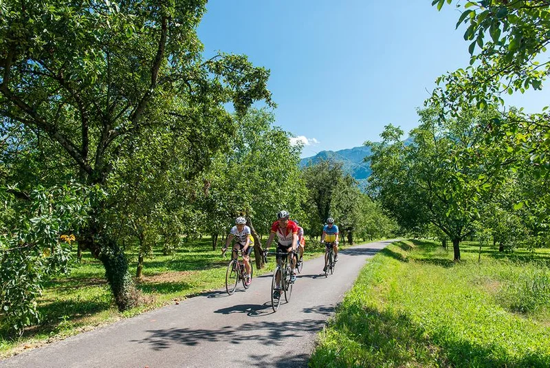 Vélo de route Itinéraire vélo : La Belle Via - Étape 6 - Grenoble > Vinay · Grenoble