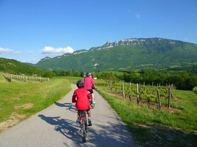 Vélo de route Boucle Cyclo : Le Circuit du Vignoble · Yenne