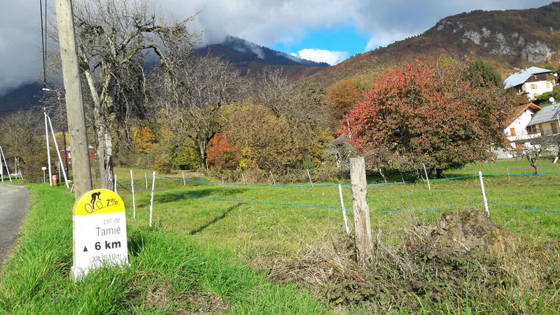 Vélo de route Boucle cyclo : Circuit de Tamié · Albertville