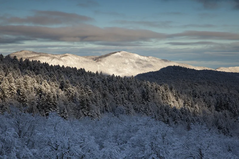 Raquettes Col de Rousset - But de l'Aiglette · Chamaloc