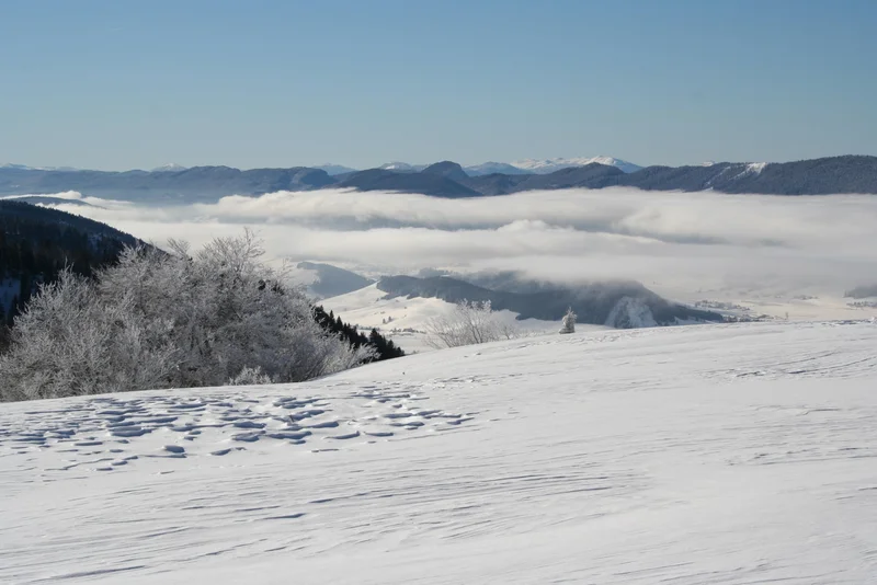 Raquettes La Molière · Lans-en-Vercors