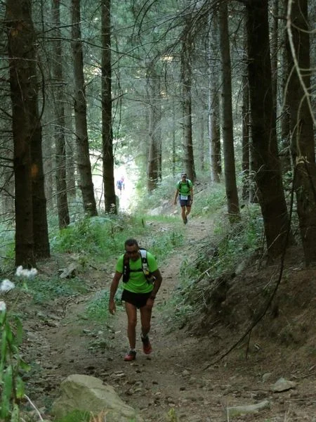 Trail Trail n° 7 - Saint-Nicolas-des-Biefs · Saint-Nicolas-des-Biefs