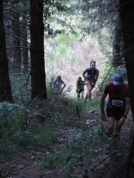 Trail Trail n° 43 - Saint-Nicolas-des-Biefs · Saint-Nicolas-des-Biefs