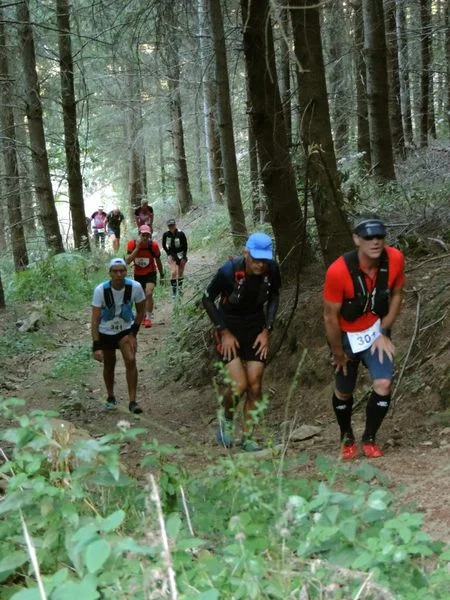 Trail Trail n° 85 - Saint-Nicolas-des-Biefs · Saint-Nicolas-des-Biefs