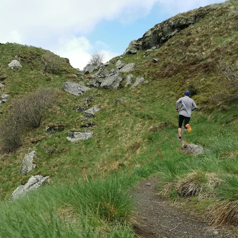 Trail La Dure-Bise (trail) · Mont-Dore