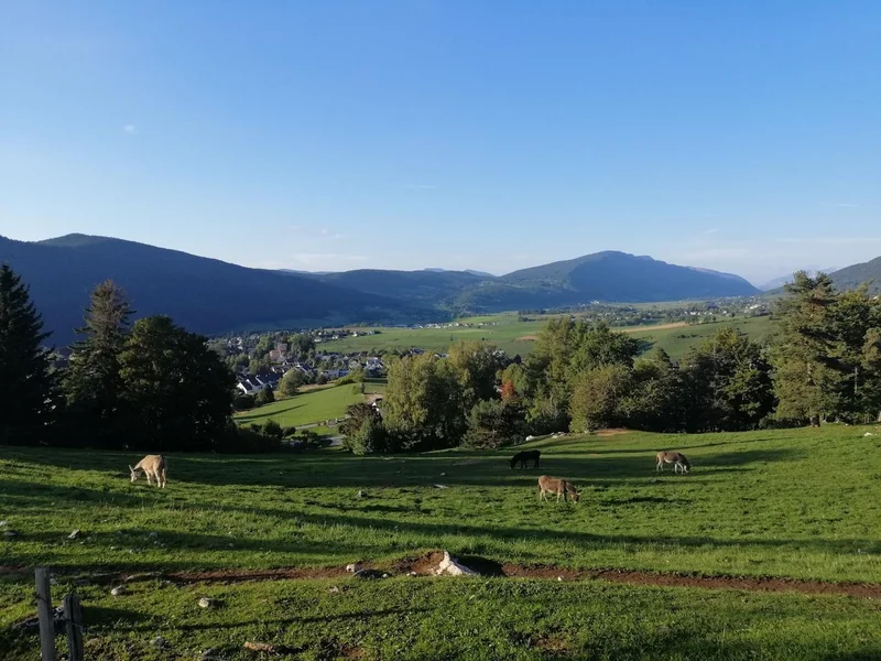 Trail La plaine de Lans · Villard-de-Lans