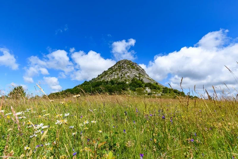 Vélo de route Le Château de Rochebonne · Le Cheylard