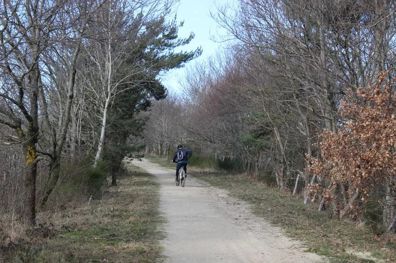 VTT L'Aventure du rail · Saint-Marcellin-en-Forez