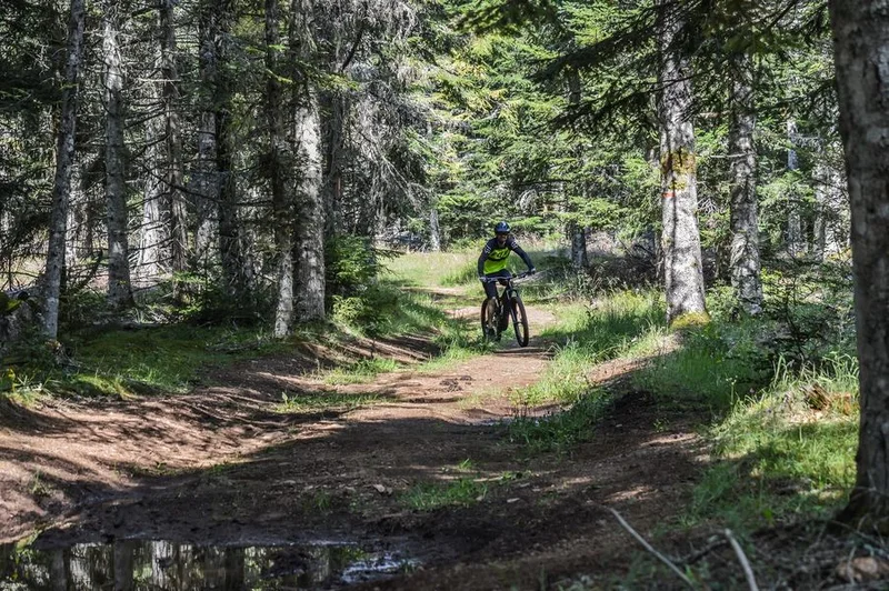 VTT Les quatre fers de l'âne (petit circuit) · Chavagnac