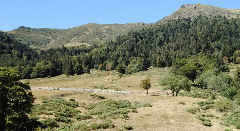 VTT Font d'Alagnon · Super Lioran