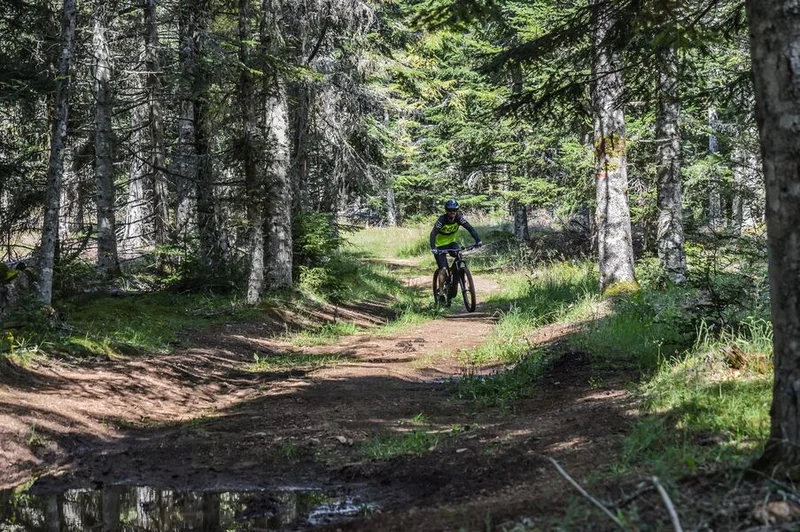 VTT Les quatre fers de l'âne (grand circuit) · Chavagnac