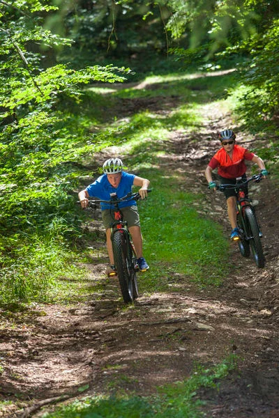 VTT Parcours VTTAE 29 rouge - Tour de Cruchon - Espace FFC Ain Forestière · Giron