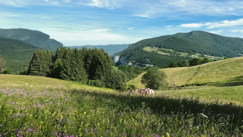 VTT La Loubière express - Circuit VTT N°46 - Bleu · Villard-de-Lans