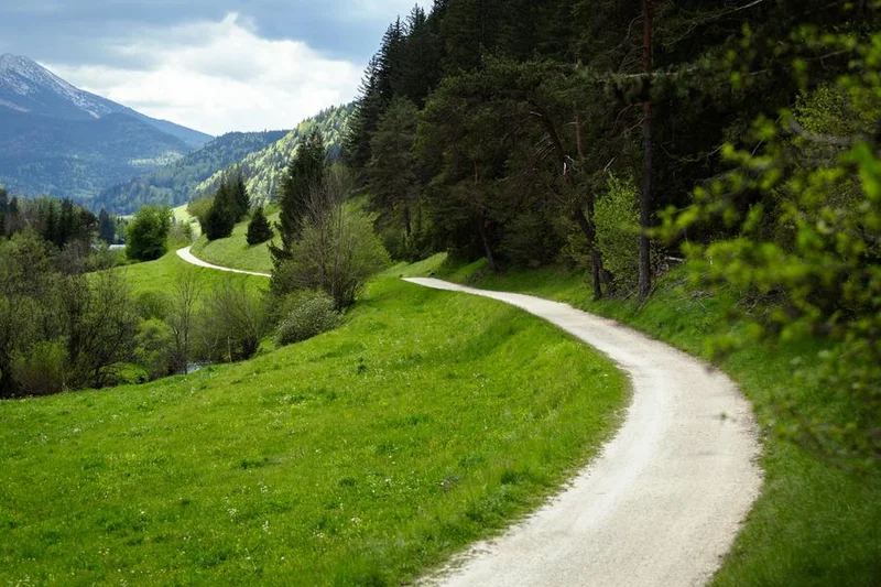 VTT L'arboretum - Circuit VTT N°42 - Vert · Villard-de-Lans