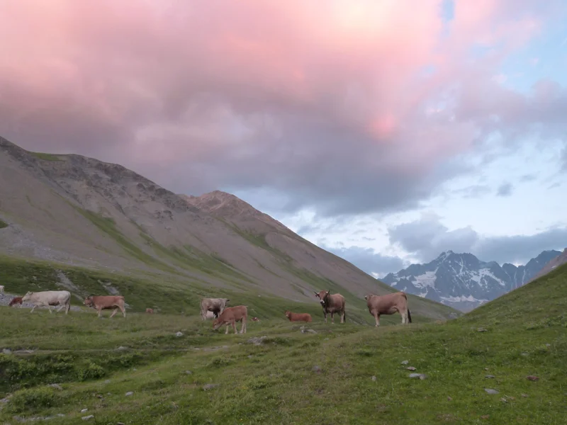 Randonnée La Boucle du Plan de l'Alpe · Villar-d'Arêne