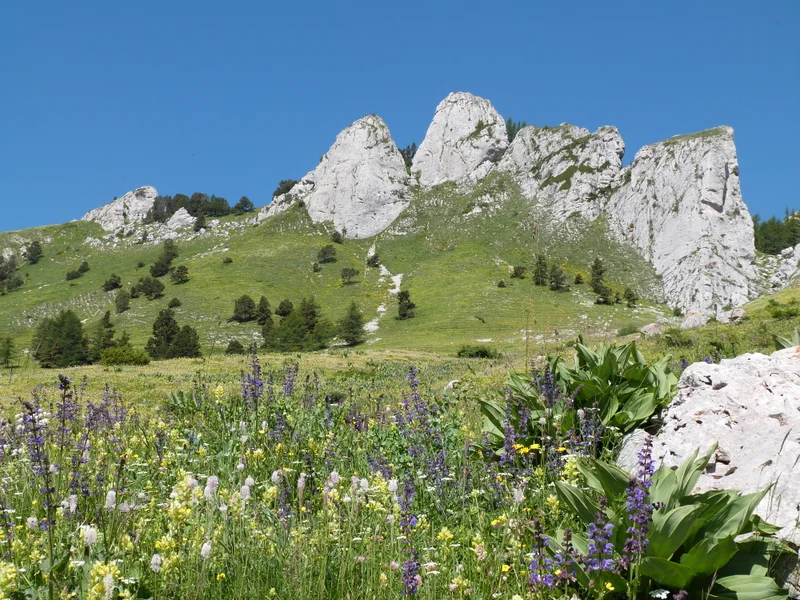 Randonnée GR® 94 (0) · Saint-Julien-en-Beauchêne