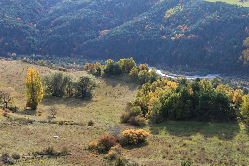 Randonnée Circuit de la Distillerie · La Roche-des-Arnauds