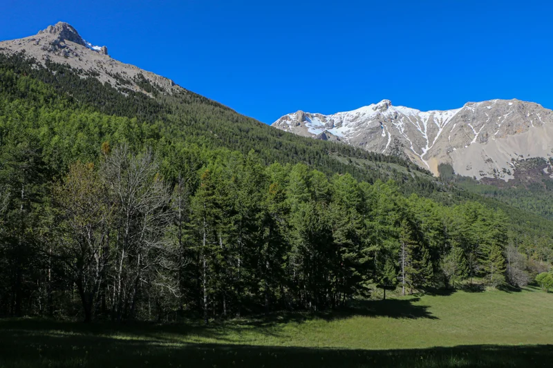 Randonnée Circuit du Pic et du Chamois · Montmaur