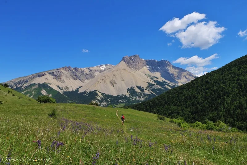 Randonnée Col de Plate Contier · La Cluse