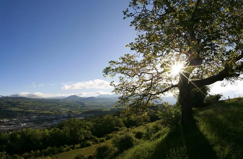 Randonnée La colline de Saint-Mens · Gap