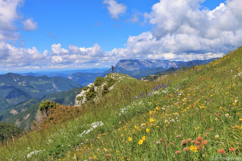 Randonnée Le Quigouret · Saint-Julien-en-Beauchêne