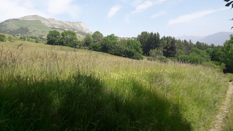 VTT Far Bayard (VTT n°1 rouge) · Gap