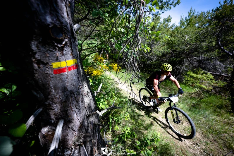VTT Baumugne et Guillotier (VTT n°12 noir) · Saint-Julien-en-Beauchêne