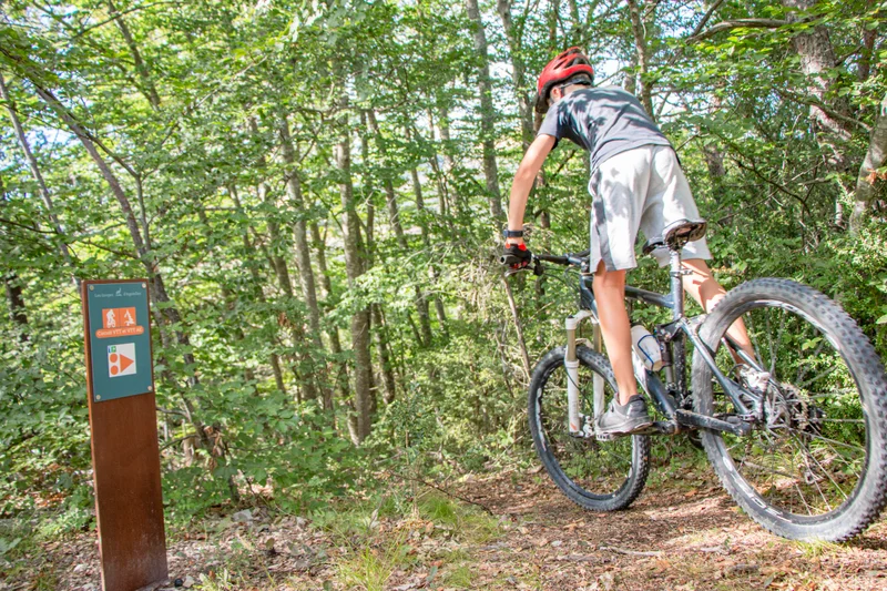 VTT Angélus (VTT n°2 rouge) · La Faurie