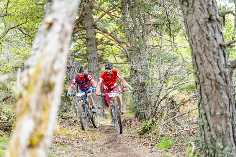 VTT Pont la Dame (VTT n°14 rouge) · La Faurie