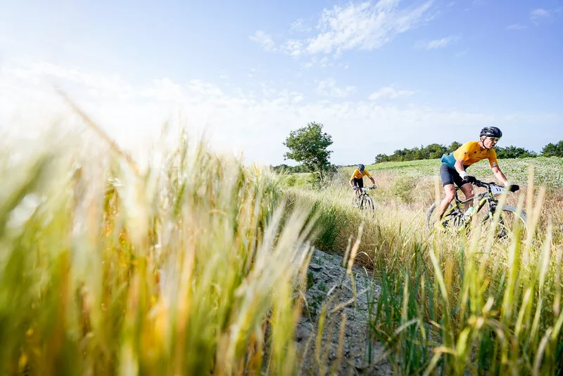 VTT Suane (VTT n°19 bleu) · Aspremont