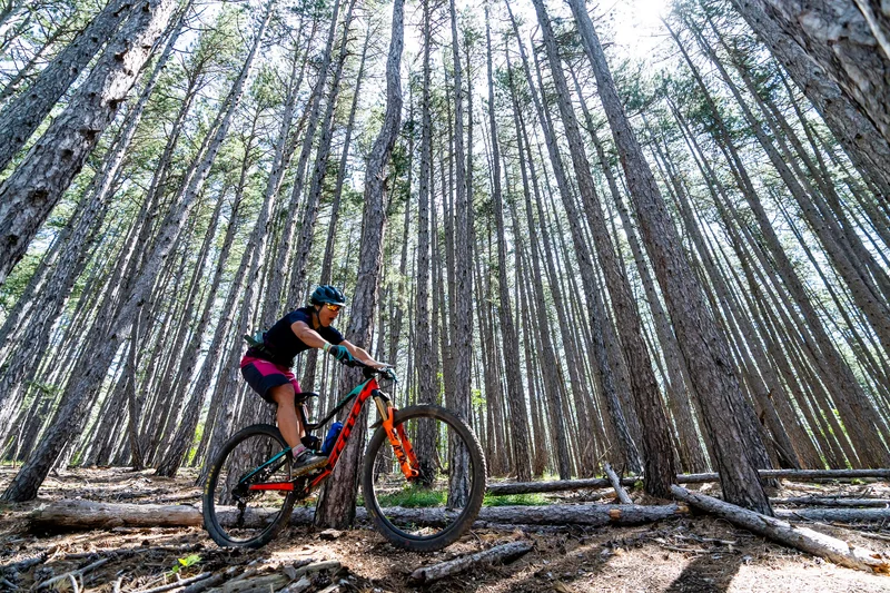 VTT La Longeagne (VTT n°8 noir) · Aspres-sur-Buëch