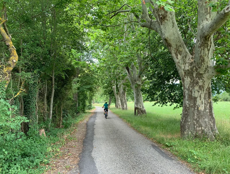 VTT Plateau de Saint-Didier à VTT (N°13) · Valernes