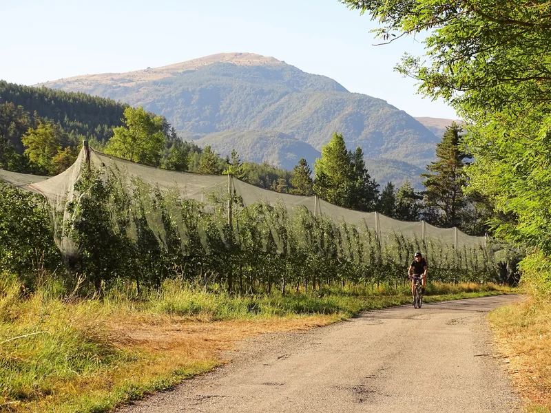VTT La Balade des vergers à VTT (N°1) · Le Caire
