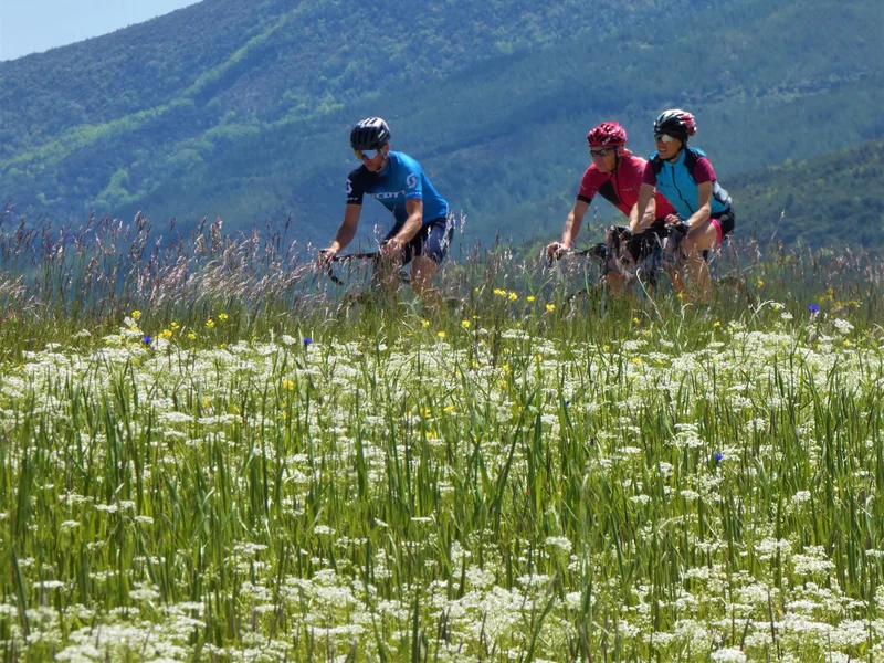 Vélo de route Autour du Risou à vélo (N°2) · Rosans
