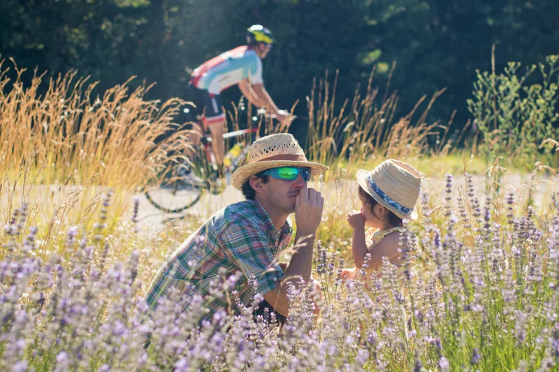 Vélo de route La route des lavandes à vélo (N°13) · Rosans