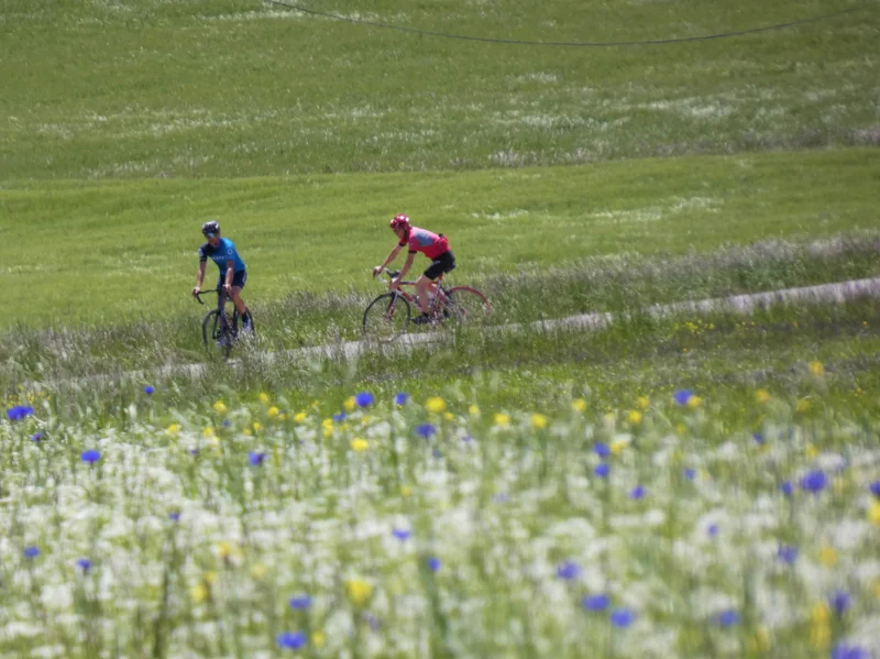 Vélo de route Les Préalpes à vélo (N°4) · Serres