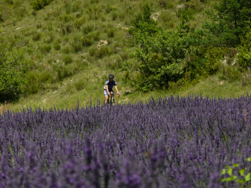 Vélo de route Lavandes et vergers à vélo (N°16) · Orpierre