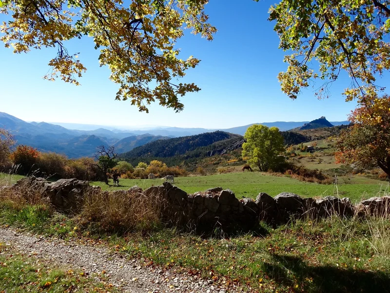 Trail Montée de Saint-Jacques · Châteaufort
